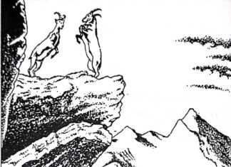 Kambing-Kambing Pengelana dan Domba-Domba yang Damai