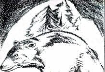 Beruang-Beruang di Gua