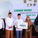 Baznas Mojokerto Salurkan 3.621 Paket Kurban, Borong Kambing Peternak Lokal