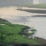 Identitas pria yang ditemukan meninggal mengapung di Sungai Brantas, Mojoanyar, Mojokerto akhirnya terungkap.