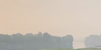 Identitas pria yang ditemukan meninggal mengapung di Sungai Brantas, Mojoanyar, Mojokerto akhirnya terungkap.