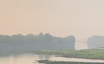 Identitas pria yang ditemukan meninggal mengapung di Sungai Brantas, Mojoanyar, Mojokerto akhirnya terungkap.