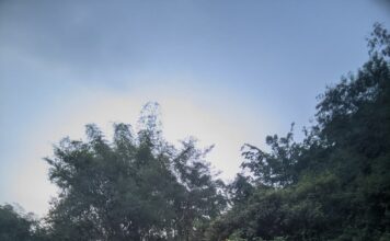 Lansia Hilang Tiga Hari di Gondang Ditemukan Meninggal di Sungai Pikatan