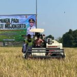 Panen Raya di Trowulan, Mojokerto Gelontorkan Bantuan Rp5,4 Miliar untuk Perkuat Ketahanan Pangan
