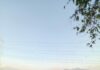 Gunung Biru Anjasmoro Kembali Terbakar, Titik Api Muncul di Lereng Curam Sulit Dijangkau