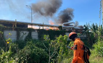 Kebakaran Lahan Merambat ke PT Sun Paper Source Mojokerto, Karyawan Dievakuasi