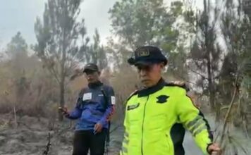 Kebakaran Hutan di Pacet Mojokerto, Setengah Hektare Terbakar, Petugas dan Warga Berjibaku Padamkan Api