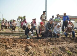 Green Action di Taman Bahari Mojopahit, Ning Ita Tekankan Pentingnya Merawat Pohon