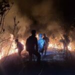 Kebakaran Hutan Anjasmoro Mojokerto Hanguskan 170,39 Hektare, Bukit Cendono Ditutup
