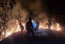 Kebakaran Hutan Anjasmoro Mojokerto Hanguskan 170,39 Hektare, Bukit Cendono Ditutup