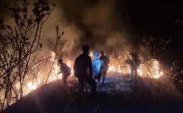 Kebakaran Hutan Anjasmoro Mojokerto Hanguskan 170,39 Hektare, Bukit Cendono Ditutup