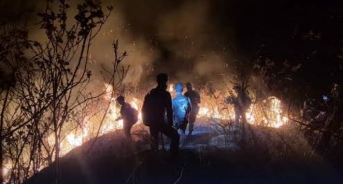 Kebakaran selama sepekan menghanguskan 170,39 hektare lahan dan vegetasi hutan di kawasan Tahura Raden Soerjo, Pegunungan Anjasmoro, Kabupaten Mojokerto.
