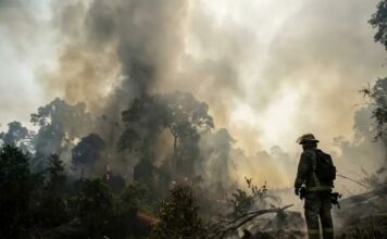 18.489 Hektare Lahan Terbakar, Prabowo Ancam Cabut Izin Perusahaan