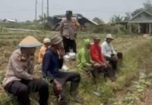 Kapolsek Pacet Ajak Petani Perkuat Ketahanan Pangan, Apresiasi Hasil Panen Ubi